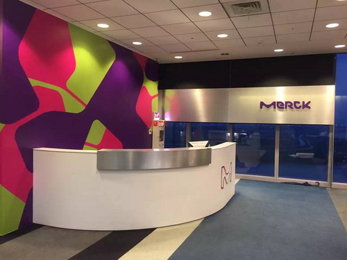 ���ŷ�ɽ����ʶ,�߶˹���ʶ